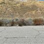 Valley Canyon Rd at Stonecrest Rd