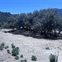 Pyramid Lake
