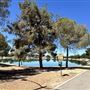 Apollo Community Regional Park