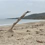 Nicholas Canyon Beach - County / FilmLA