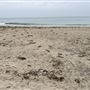 Nicholas Canyon Beach - County / FilmLA