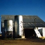 Maffia Dairy Ranch