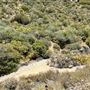 Deukmejian Wilderness Park