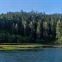 Mendocino Headlands State Park (SP)