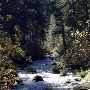 McArthur-Burney Falls Memorial State Park (SP)