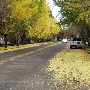 McDonald Avenue Neighborhood