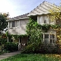 McDonald Avenue Neighborhood