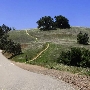 Mount Diablo State Park (SP)
