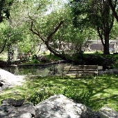 Shambala