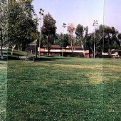 Tamarack Park