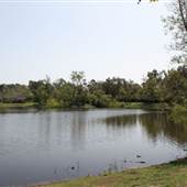 Huntington Central Park