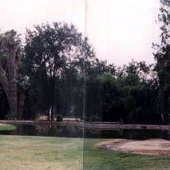 Buttonwillow Land and Cattle Company