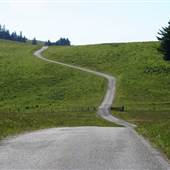 Mattole Road (3)