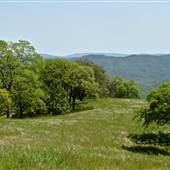 Henry W. Coe State Park (SP)