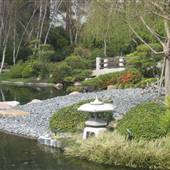 Earl Burns Miller Japanese Garden - California State University Long Beach - CSULB