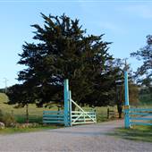 Pacheco State Park (SP) and Windmill Farm / Wind Energy