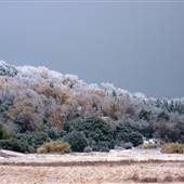 Palomar Mountain State Park (SP)