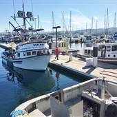 Breakwater Cove Marina Monterey