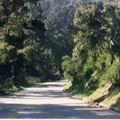 Olmstead Road