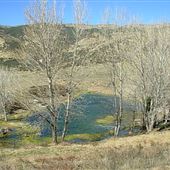 Firestone Pond