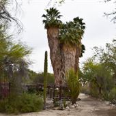 Coachella Movie Ranch