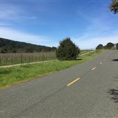 Anderson Valley Way