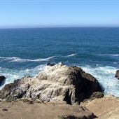 Bodega Bay Coast