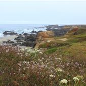 MacKerricher State Park (SP)