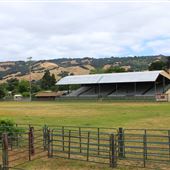 Mendocino County Fair and Apple Show / Mendocino County Fairgrounds