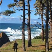 Smidgemore Property - Private Beach Cove & Bluffs with Vacant Cottages