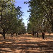 Isquierdo Ranch