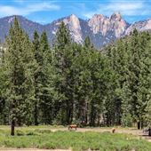 Peppermint Falls Ranch - Little Yosemite Valley - Peppermint Falls Ranch Waterfall