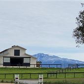 Fairfield Farm