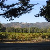 Hollyhock Country Ranch
