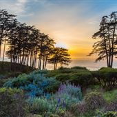Seascape Resort