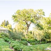 Vintage Farmhouse