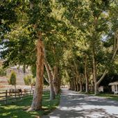 Alisal Ranch