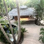 Brio Oasis