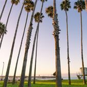 Goleta Beach