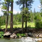 Butte Meadows