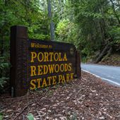 Portola Redwoods State Park (SP)