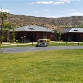 The Painted Turtle camp