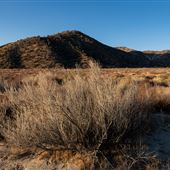 Hungry Valley State Vehicle Recreation Area (SVRA)