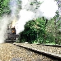 Roaring Camp Railroad