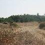 Baldwin Hills Scenic Overlook State Park (SP)
