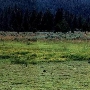 Round Valley Reservoir aka Bidwell Lake