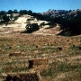 San Felipe Ranch Inc. / The Nature Conservancy California Program