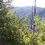 Branscomb Road