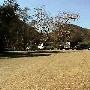 Solstice Canyon - National Park Service (NPS)