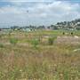 Rio de Los Angeles State Park (SP) - Taylor Yard - Inter Agency - LA City Parks & CA State Parks